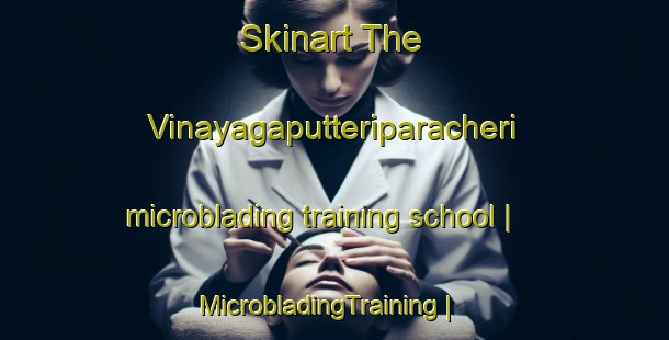 Skinart The Vinayagaputteriparacheri microblading training school | MicrobladingTraining | MicrobladingClasses | SkinartTraining-India